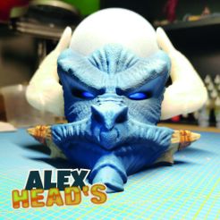 Alex-Heads-Nicol1.jpg AlexHead's DragonHead ECHO DOT Alexa 4. Gen