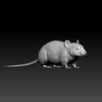 mou1.jpg Mouse - mouse 3d model for unity3d - mouse 3d for game - mouse 3d realistic