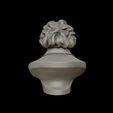 23.jpg Ludwig van Beethoven portrait sculpture 3D print model