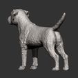 Border-terrier9.jpg Border terrier 3D print model