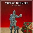 Photo-Graphic.jpg Viking Barkeep (Casual)