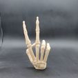 20230606_230646.jpg Skeleton Hand Peace Sign