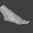 407.png 3D SCAN woman's foot