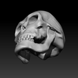 Capture04.png Detailed Human Skull,  PreSupported