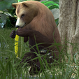0_00032.png Bear DOWNLOAD Bear 3d model - animated for blender-fbx-unity-maya-unreal-c4d-3ds max - 3D printing Bear Bear