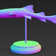 image-5.png Modelo 3D de Tiburón Nodriza con Base – Elegancia del Fondo Marino