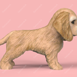 AC04.png Cute Puppy American Cocker Spaniel STL and VRML