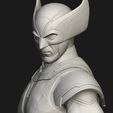 14.jpg WOLVERINE (UCM)