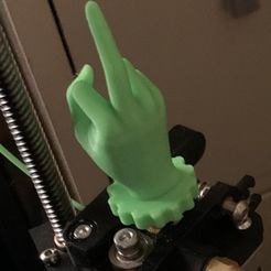 34CB7BA1-FF6D-4C3B-91D2-962C293F3681.jpeg Ender 3 v2 Middle Finger Extruder Knob