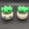 469458553_10162428532354548_2810338730652502294_n.jpg Happy Succulent Plant Clicky Fidget and Keychain