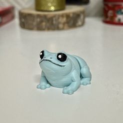 Tiny Frog - Print in Place