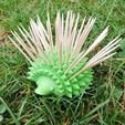 IMG_20190728_170101.jpg Igel A Zahnkur