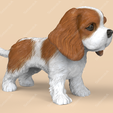 kc05.png Cute Cavalier King Charles Spaniel STL and VRML