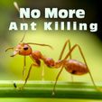 no-more.jpg Eco-Friendly Ant Trap  ♻️  🐜