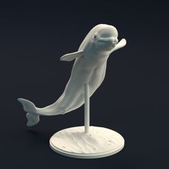 Beluga_1.jpg 3D-Datei Beluga-Wal・3D-Druck-Idee zum Herunterladen, AnimalDenMiniatures