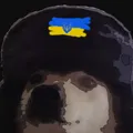ComradeDogg