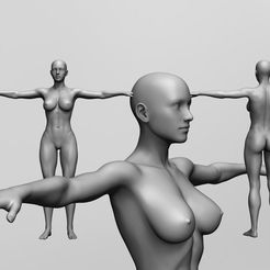 realista-base-mesh-anatomic.jpg STL-Datei anatomisch realistische weibliche Netzbasis kostenlos・3D-druckbare Vorlage zum herunterladen, CRSTUDIO8305