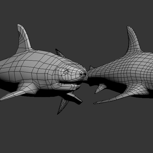 Captura-de-Tela-102.png shark
