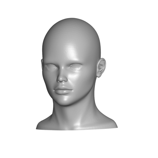 Stl File Human Head・3d Printable Design To Download・cults