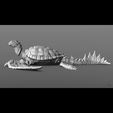 Sea turtle dragon cut instagram 2.jpg Green Sea Turtle Dragon