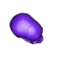 My_Scan_22.stl Anatomical Skull