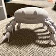 Happy-Crab2.jpg Crab