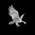 Capture-d’écran-2023-07-06-à-12.22.22.png vulture
