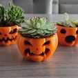 IMG_20230904_134207.jpg Two angry and one surprised Halloween pumpkins (candle holder, plant base, and candy bowl)