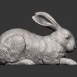 rabbit7.jpg Archivo 3D Modelo de impresión 3D de un conejo・Modelo de impresora 3D para descargar, akuzmenko