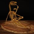 Velo7.jpg Velociraptor Skeleton Meme Diorama Philosoraptor