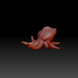 Annotation 2020-01-27 141215.png Cycloptopus Male