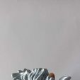 WhatsApp-Image-2022-10-20-at-11.03.05-AM-1.jpeg Nice Skeleton Cat