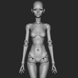 4.jpg Sabrina - 3D model female bjd doll \ Female \ figurines \ articulated doll \ ooak \ 3d print \ character \ face