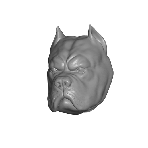 pitbull head png