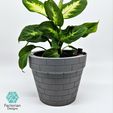 Folie3.jpg Self-Watering Plant Pot with a Gentleman Earthworm Companion