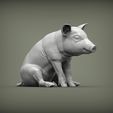 Baby-pig-sitting4.jpg Baby pig sitting 3D print model