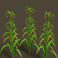bajri1.png 3D corn plant