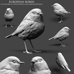 european-robin-patreon-release.jpg Файл STL Европейский Робин・Дизайн 3D принтера для загрузки