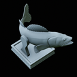 zander-trophy-49.png zander / pikeperch / Sander lucioperca fish in motion trophy statue detailed texture for 3d printing