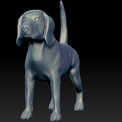 imagen_2023-06-03_161802109.png STL file beagle dog sculpt・3D printing model to download