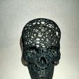 IMG20201203223025.jpg Voronoi Skull 3D print model