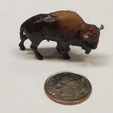 Bison