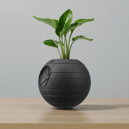 house plant palm Large Majesty Palm Houseplant with Planter - Large (3-4' tall) Sand Planter main image 0