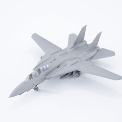 001.jpg Grumman F14 D Super Tomcat 1