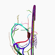 10.png DURAL VENOUS SINUS SEGMENTED MODEL