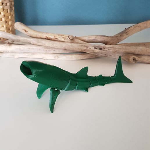 20220918_132917.jpg Tubarão-baleia Flexi (Multicolor .3mf incluído)