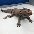 Bearded Dragon Articulated Toy, Print-In-Place Body, Snap-Fit Head, Cute Flexi