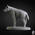 hyena_back.png Hyena - Animal