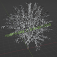 Vista3.png Baum