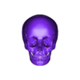 OBJ1 -skullbones.obj 3D Model of Skull Bones